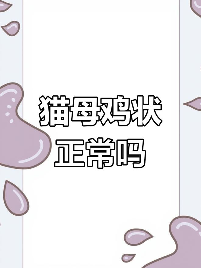 猫咪母鸡趴是正常现象还是不舒服?