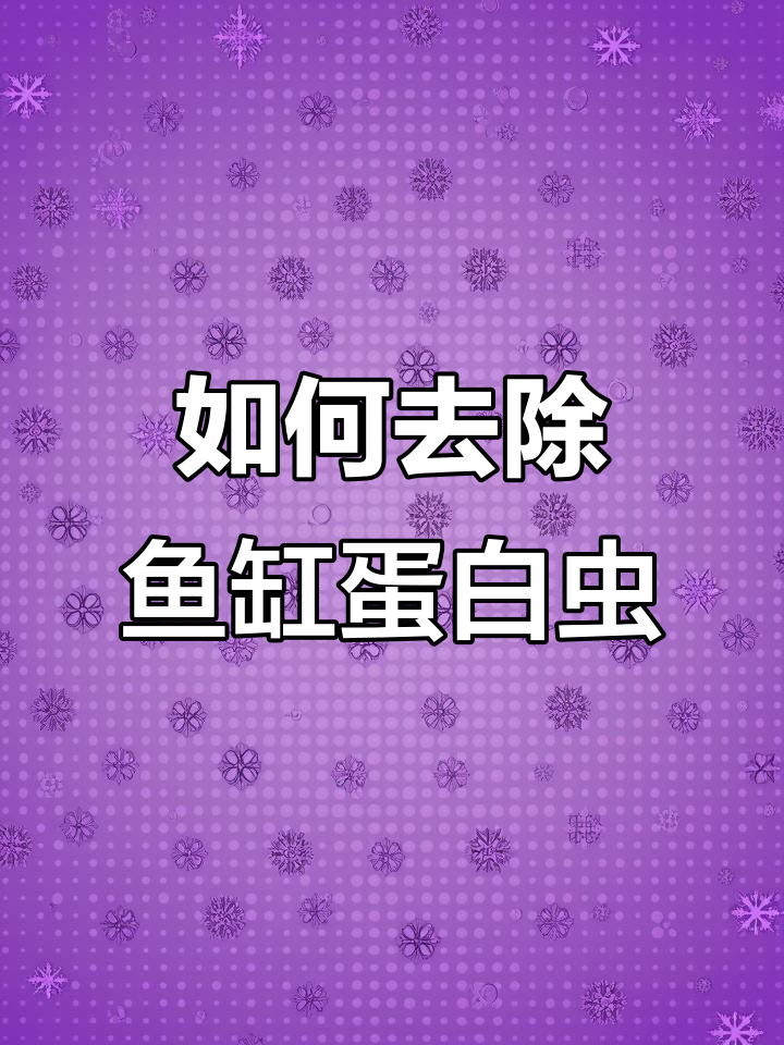 鱼缸蛋白虫泛滥成灾,如何彻底清除?