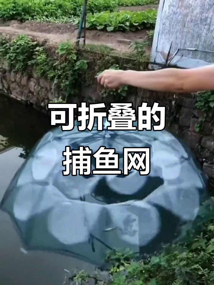 折叠式渔网轻松捕鱼,户外必备工具