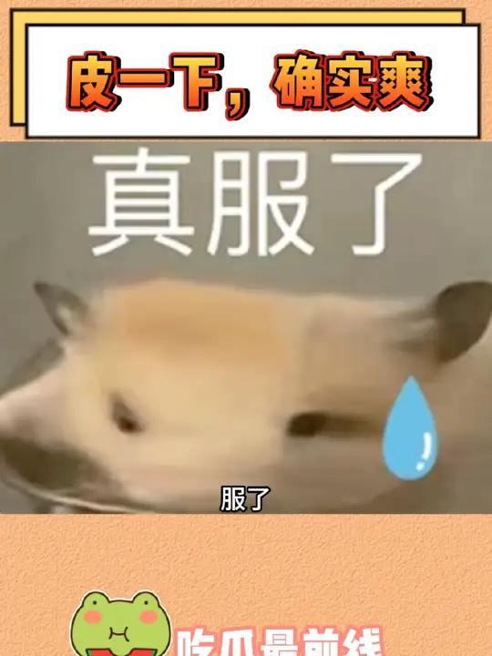 点进去根本出不来!皮皮虾 搞笑 沙雕 娱乐评论大赏