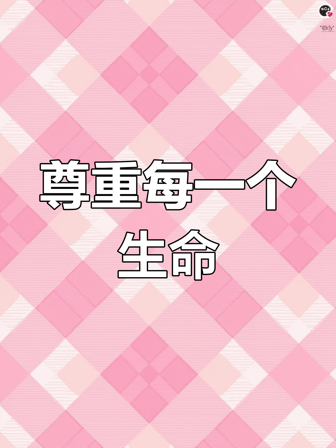 深圳禁吃猫狗肉,关爱流浪动物从这里开始