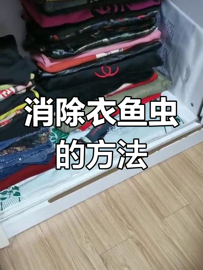 如何彻底消灭衣鱼虫和蛀衣虫