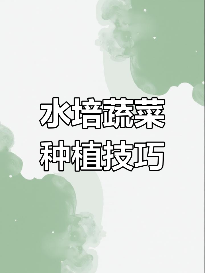 家庭水培芽苗菜种植全攻略
