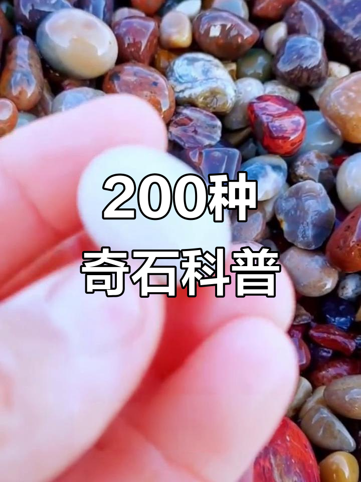 200种奇石大揭秘：从猪肉石到黑紫晶，价格差距惊人