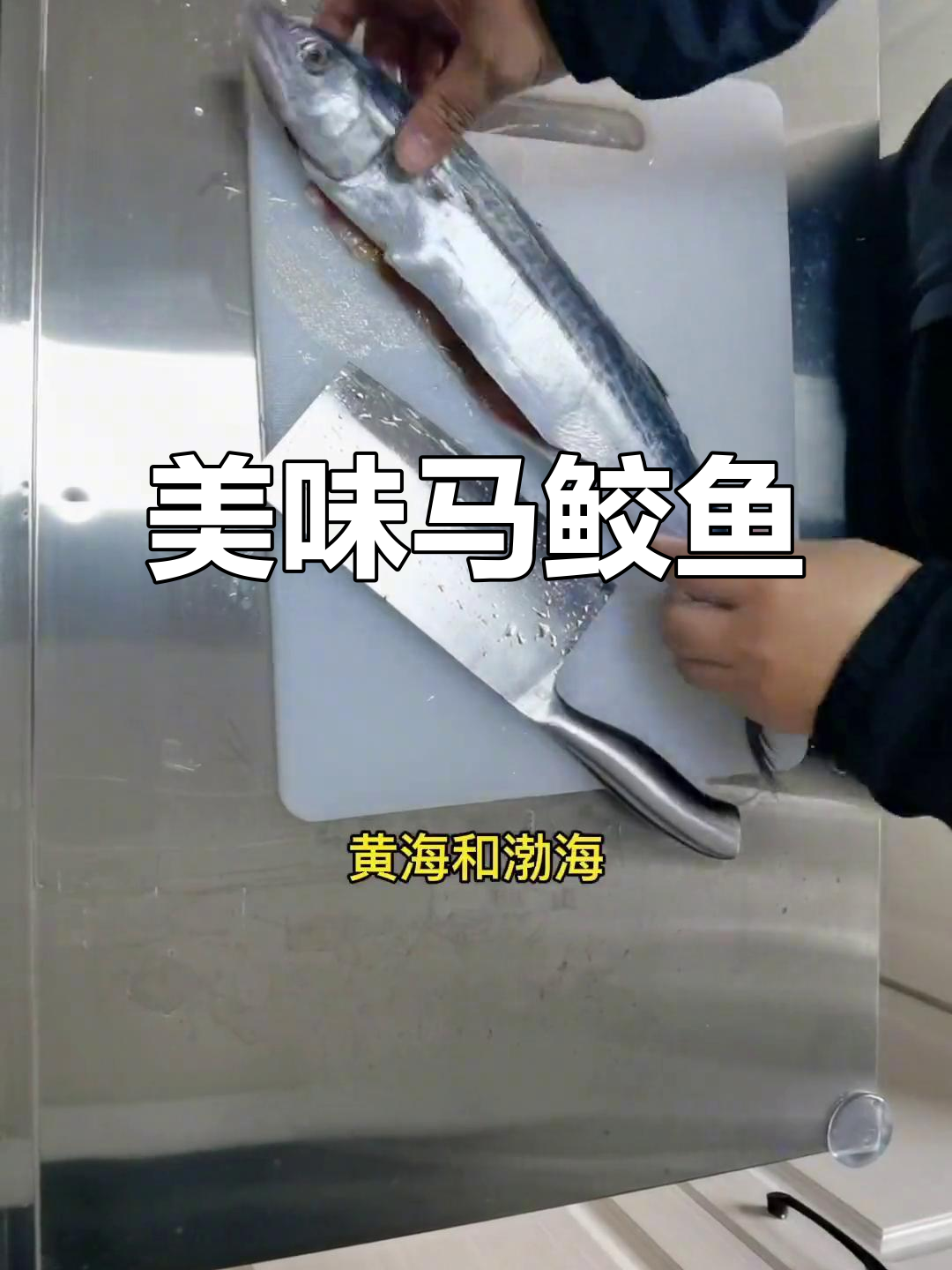 马鲛鱼:营养丰富,低胆固醇的美味海鲜