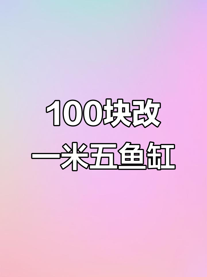 一百元买一米五大鱼缸,改造过程大揭秘