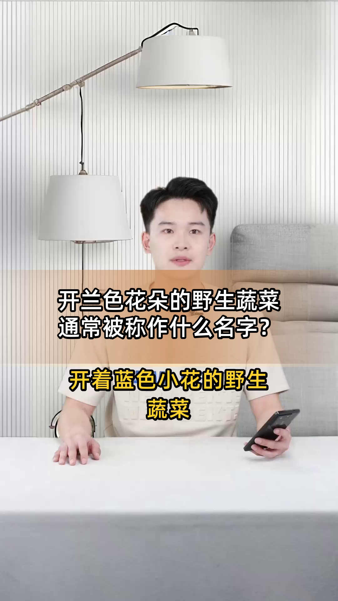 开兰色花朵的野生蔬菜通常被称作什么名字?