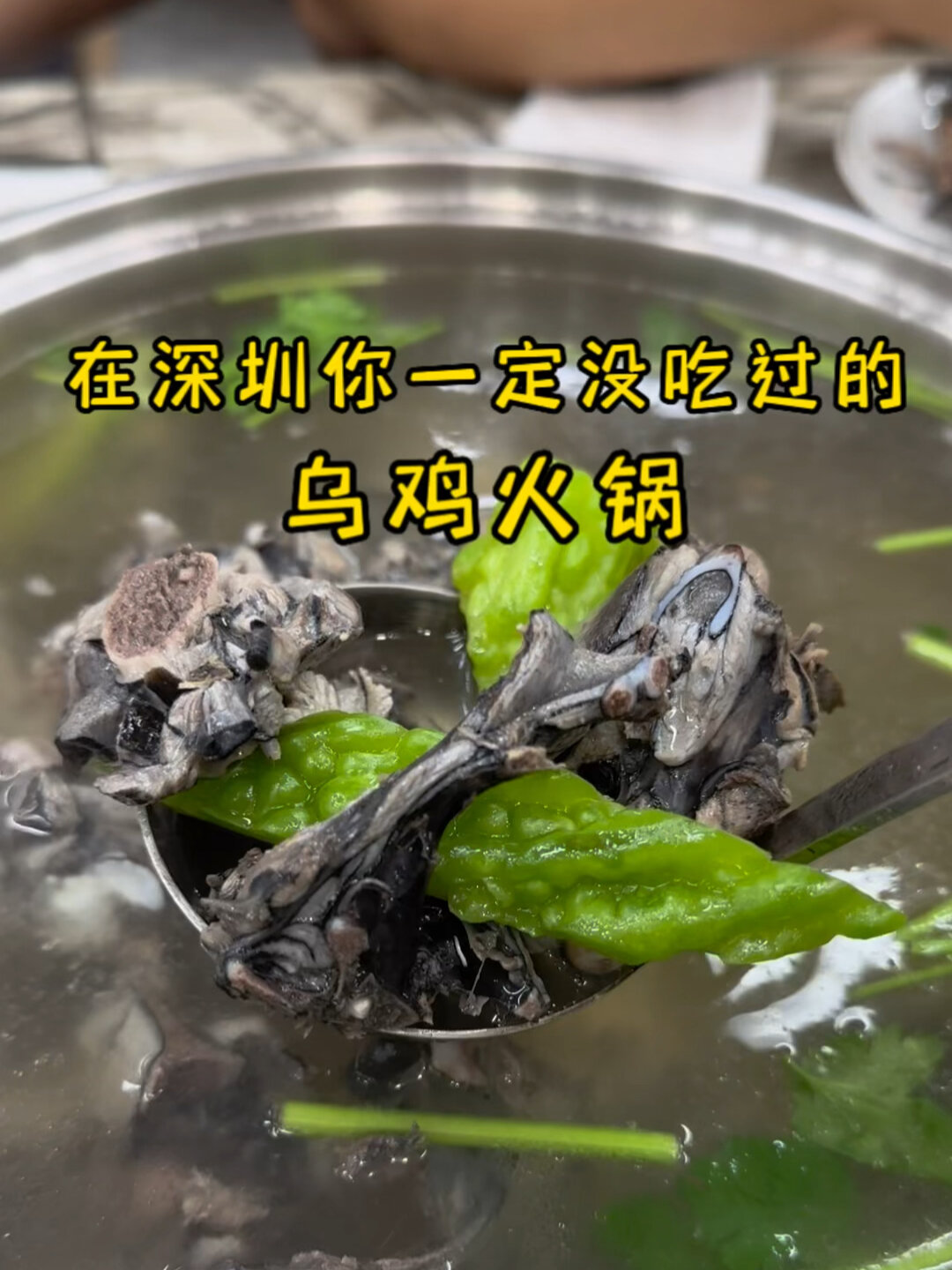 苦瓜橄榄乌鸡火锅|在深圳你一定没吃过