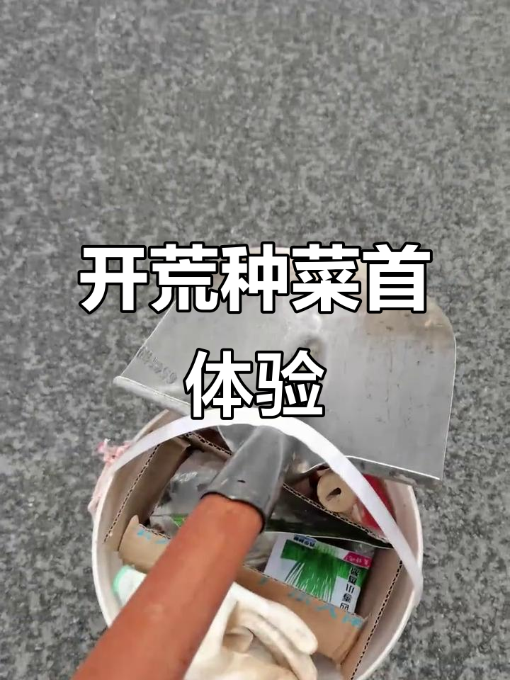 首次尝试抖音视频,记录开荒种菜的日常!