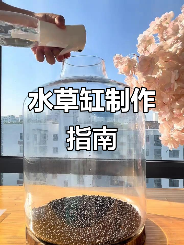 夏季必备治愈鱼缸,打造水草微景观
