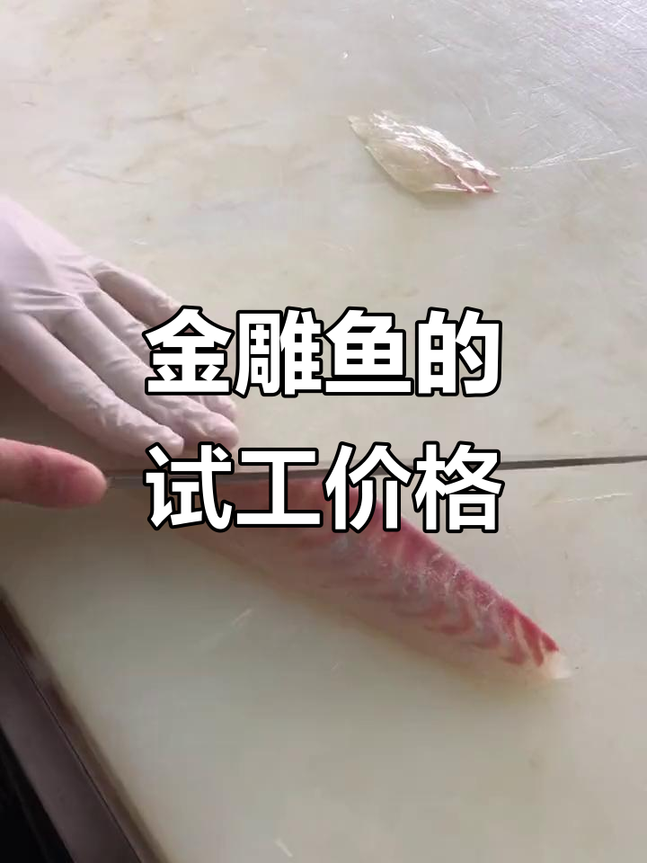 试工师傅要求8500,金雕鱼操作能否值这个价?