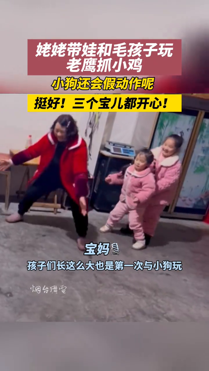 小狗把老鹰捉小鸡玩的明明白白!