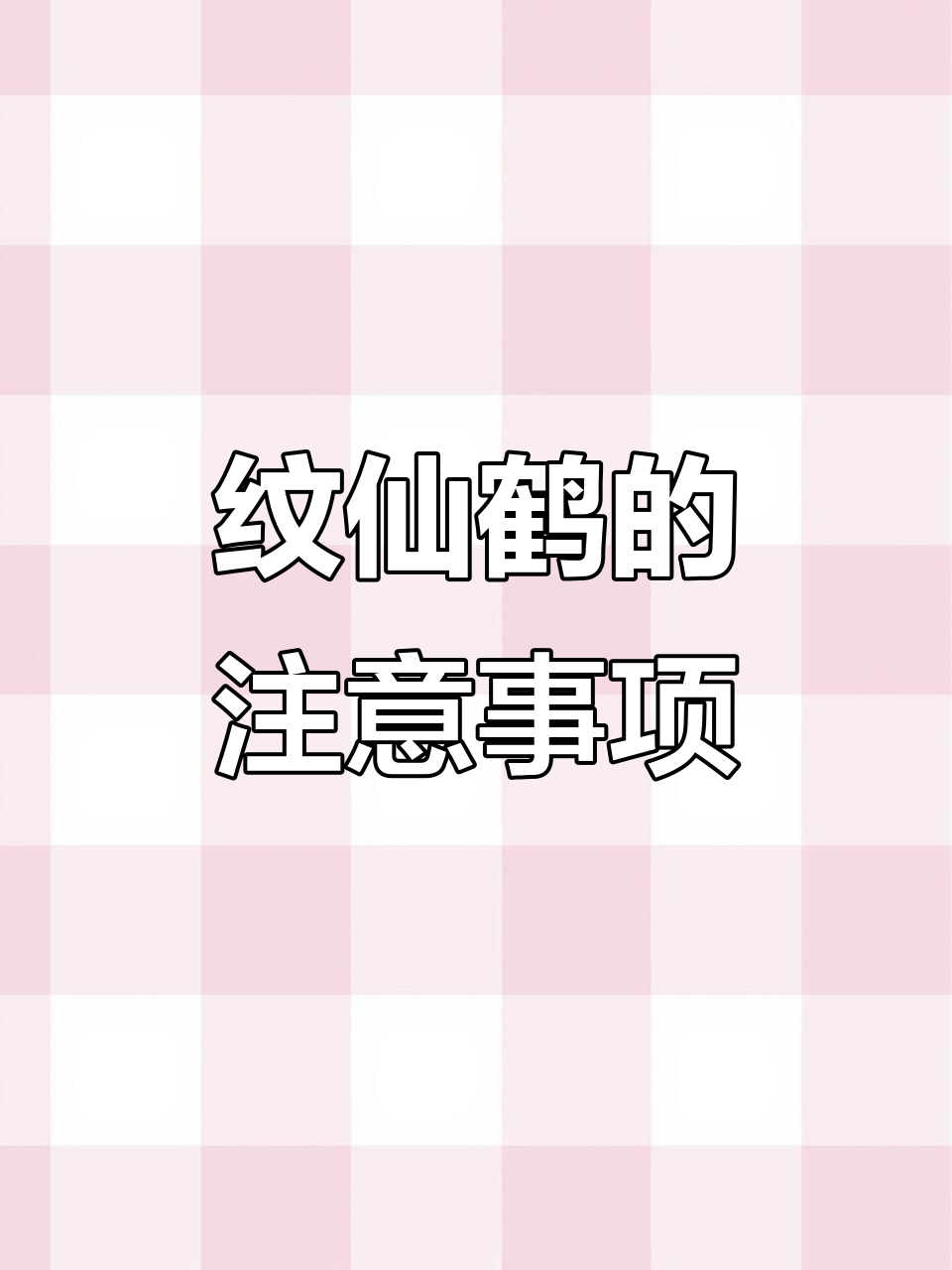 仙鹤纹身背后的禁忌与命理关系,选对图案才能避免气场冲突