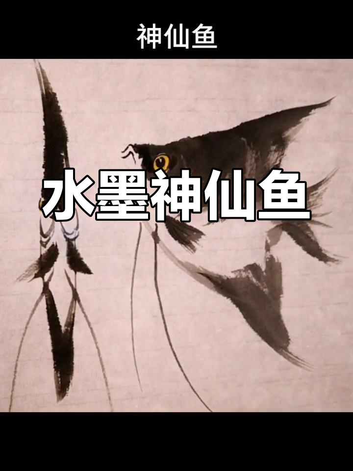 神仙鱼正侧面画法，轻松掌握水墨技巧