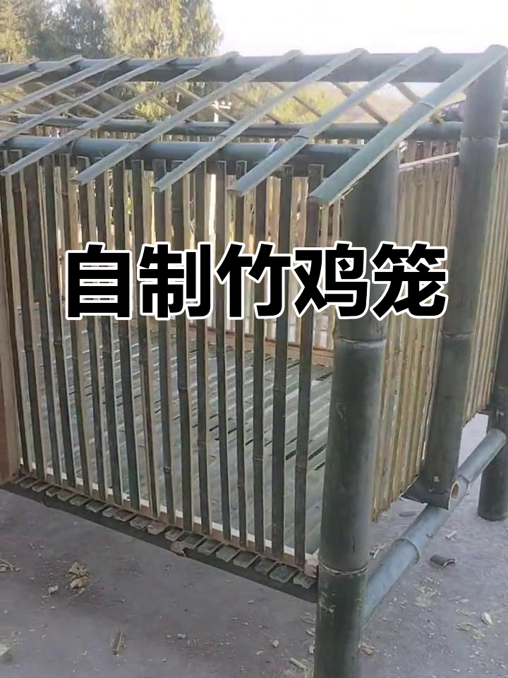 亲手做鸡笼,竹子创意满满!
