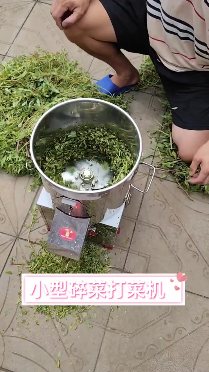 小型碎菜打菜机