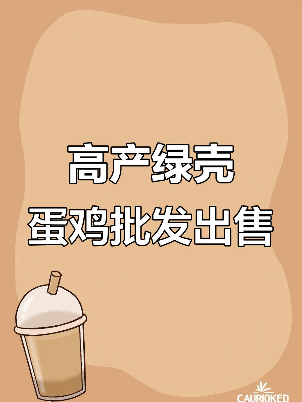 昆明西山区麻羽高产绿壳蛋鸡批发,土鸡苗优质出售