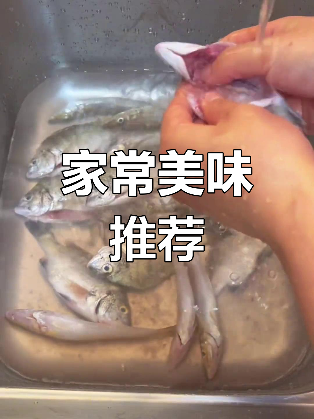 湛江家常菜,盐水杂鱼煲鲜美可口,鱼肉嫩滑超赞!