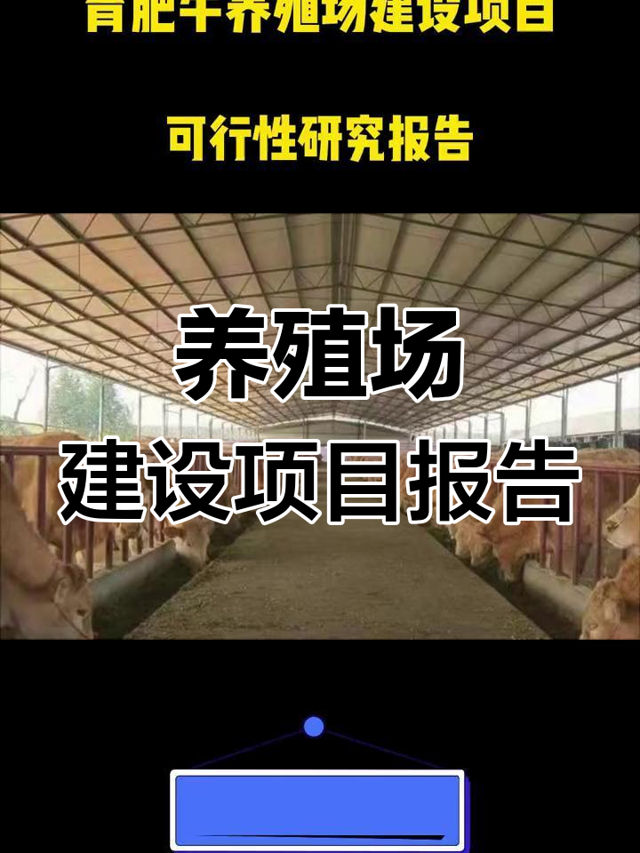 母牛与育肥牛养殖项目可行性分析