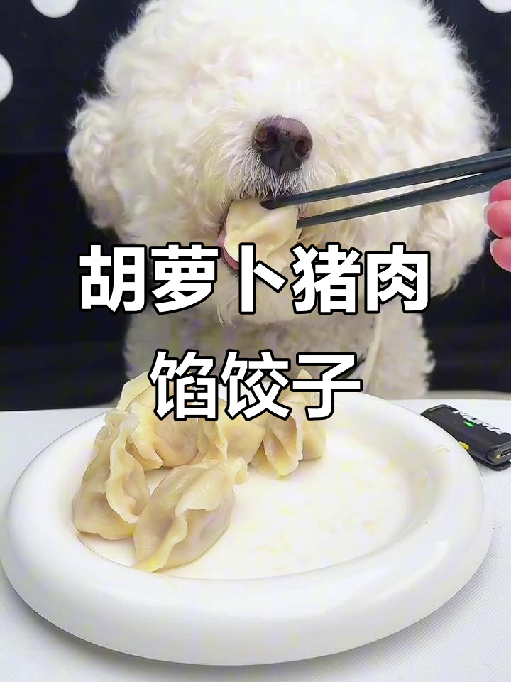 今天吃胡萝卜猪肉饺子,妈妈拜拜!
