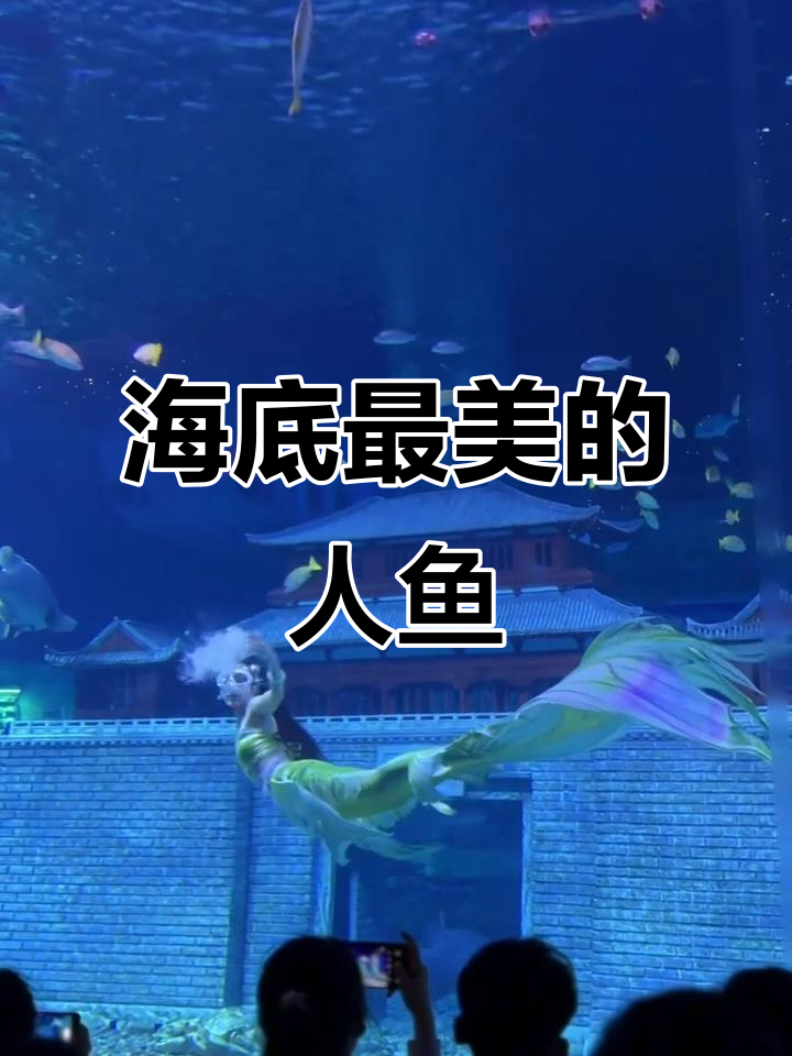 海洋馆里的美人鱼公主,谁才是最美的海底之星?