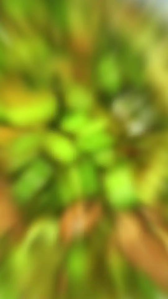 牛里脊炒芹菜,牛里脊尖椒干豆腐,糖醋带鱼
