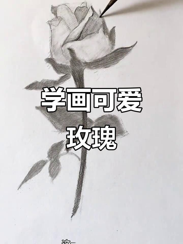 素描玫瑰花步骤详解,轻松画出卡通风格
