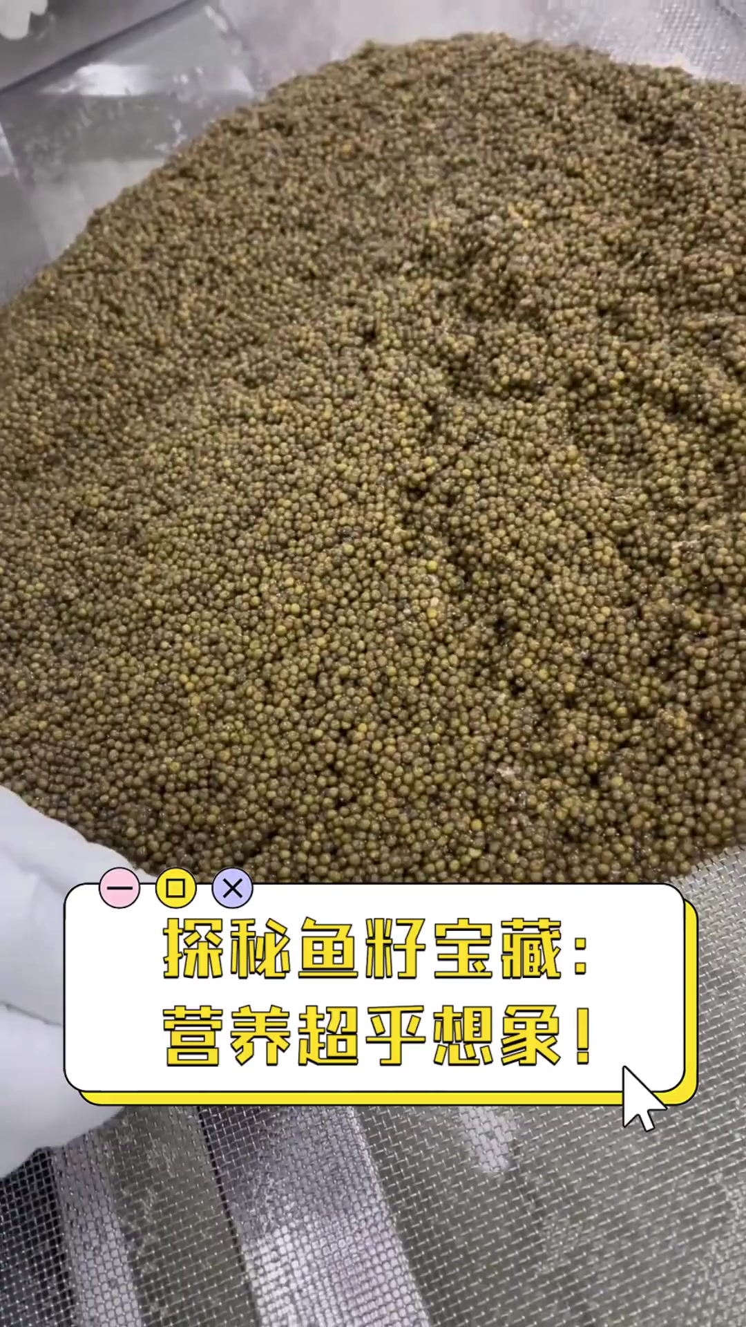 探秘鱼籽宝藏:营养超乎想象!