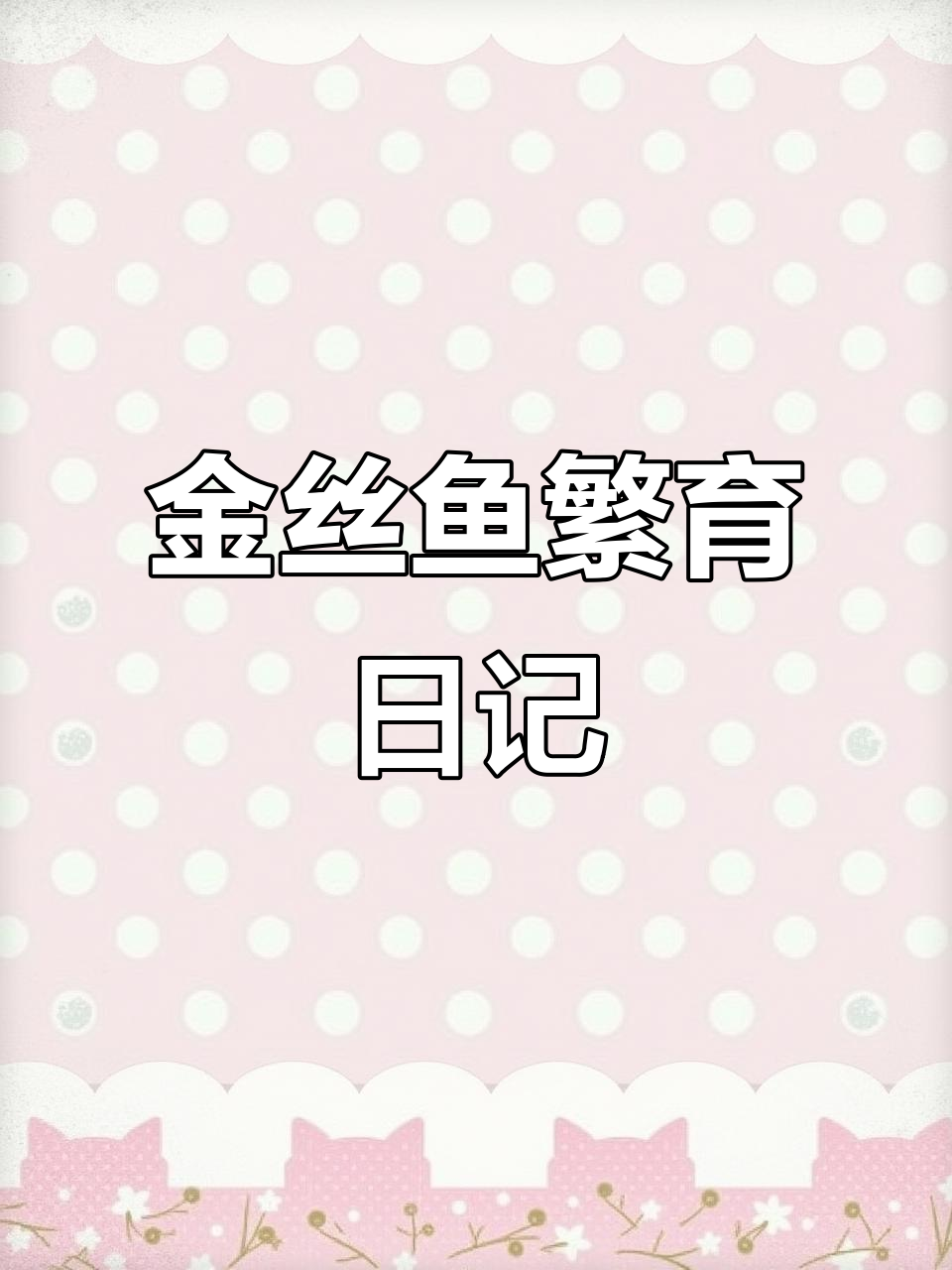 白云金丝鱼繁殖全过程,母鱼产卵与孵化实录