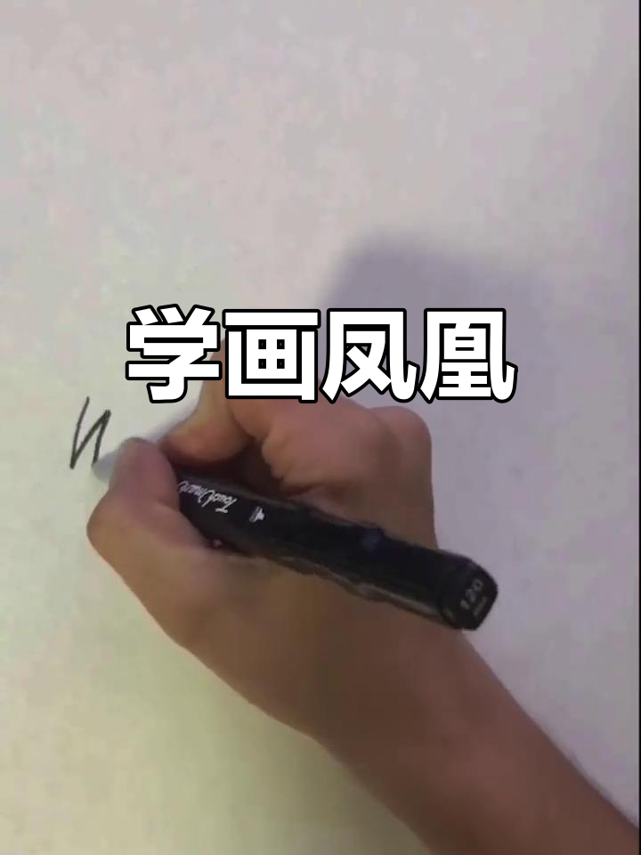 苦学多年,终于画出凤凰图!差点变小鸡吃米