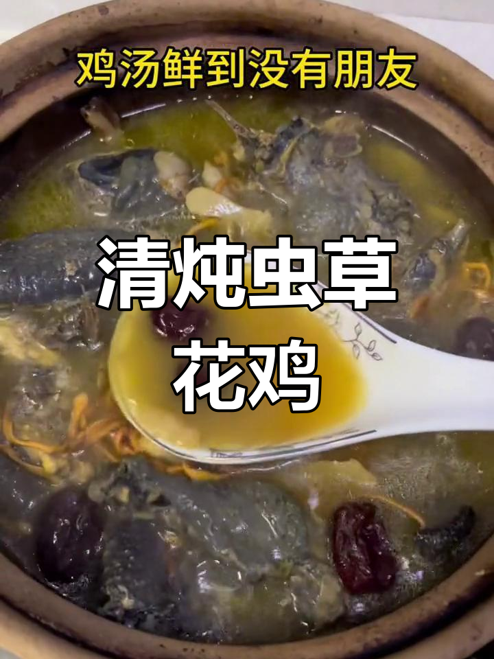 虫草花乌鸡汤,感冒治疗有奇效