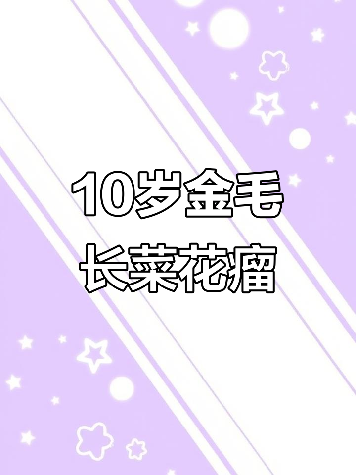 金毛咽喉处长菜花状瘤,阿莫西林与碘伏治疗过程揭秘