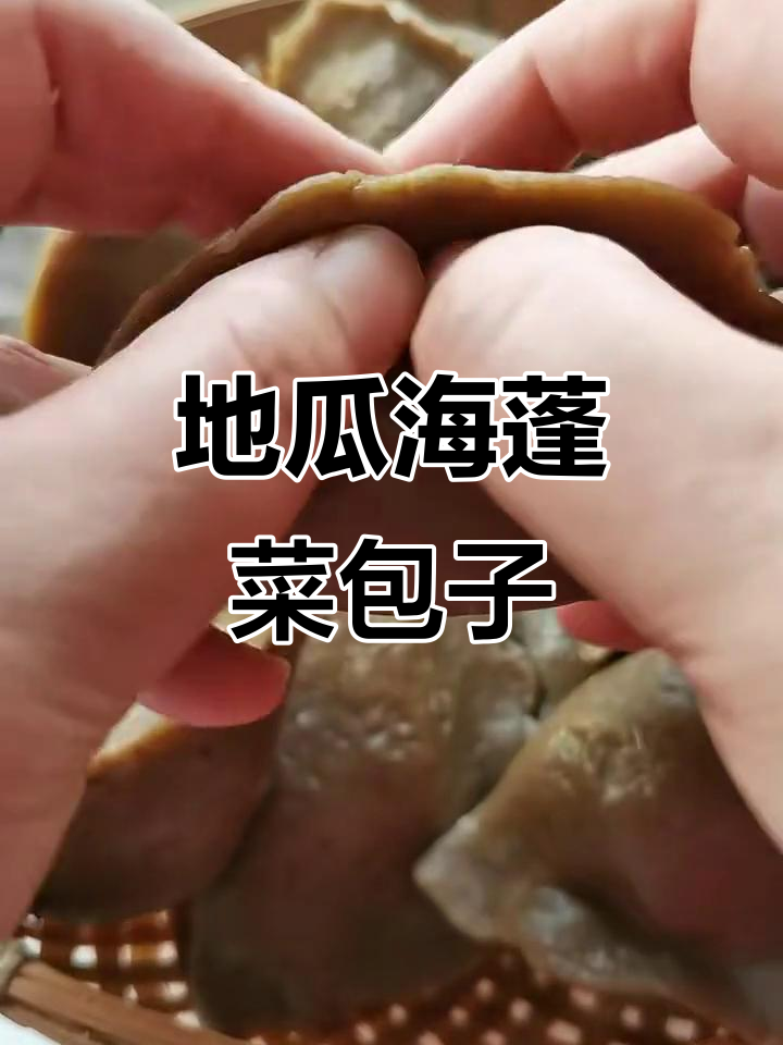 海蓬菜地瓜面包子,做法大揭秘!