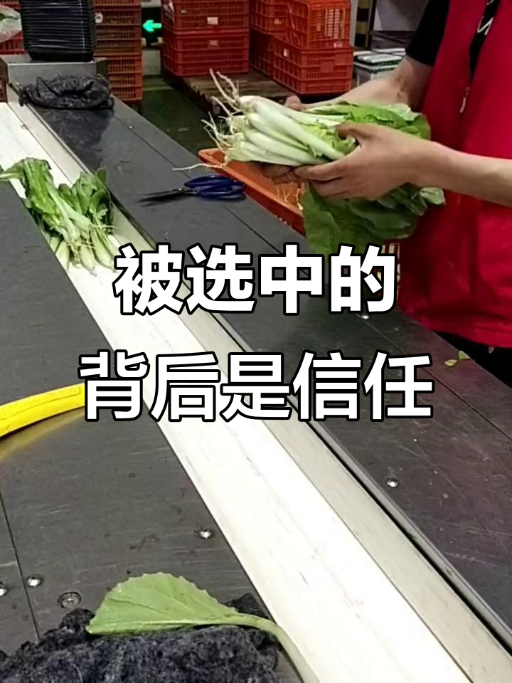 客户选择你,是因为信任!蔬菜包装机厂家如何赢得市场