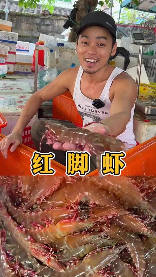开海拉,红脚虾大丰收,生腌、捞汁、香煎、椒盐大虾安排起来!海鲜原产地 虾 开海后的第一波海