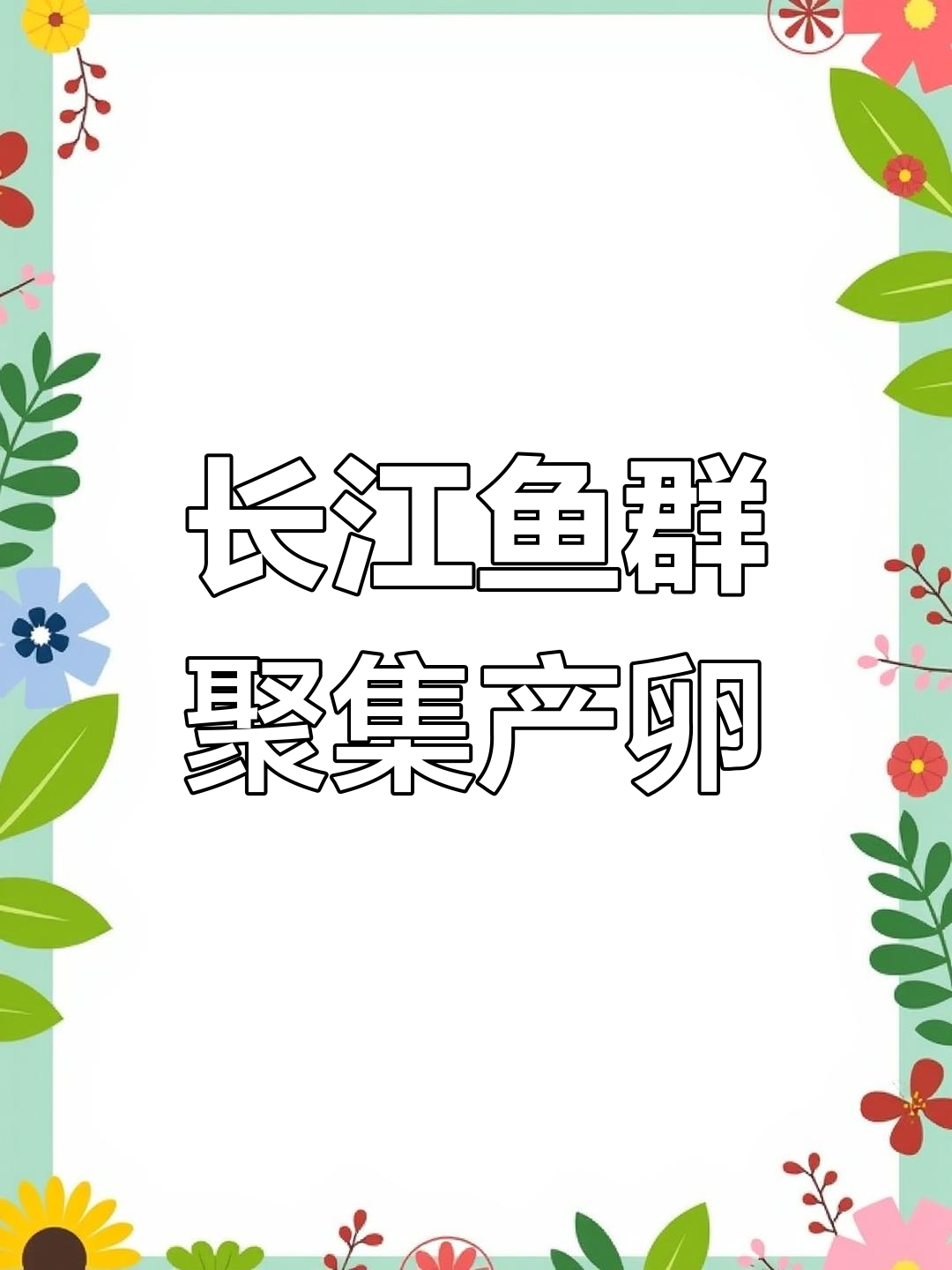 长江泸州段野生鱼类大迁徙,产卵场面震撼!