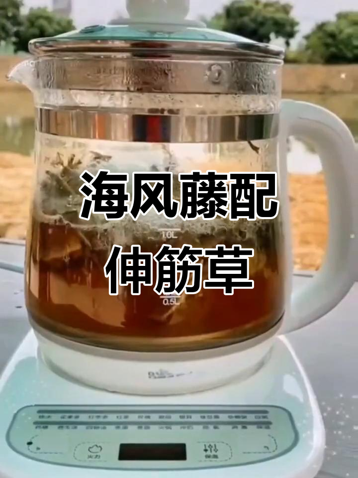 海风藤与伸筋草搭配,祛风湿、通经络效果更佳