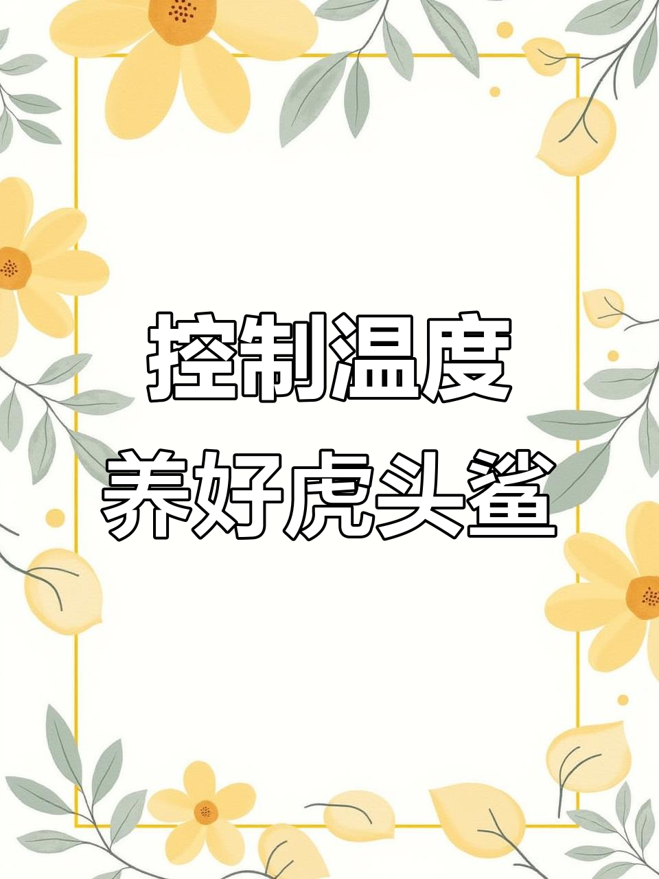 虎头鲨养殖技巧:水温控制关键