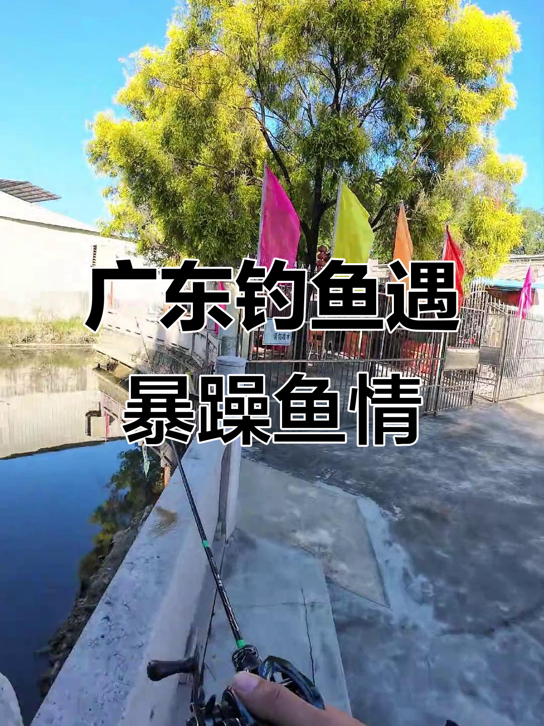 广东臭水沟钓雷龙,土豆软饵搭配曲柄钩效果惊人