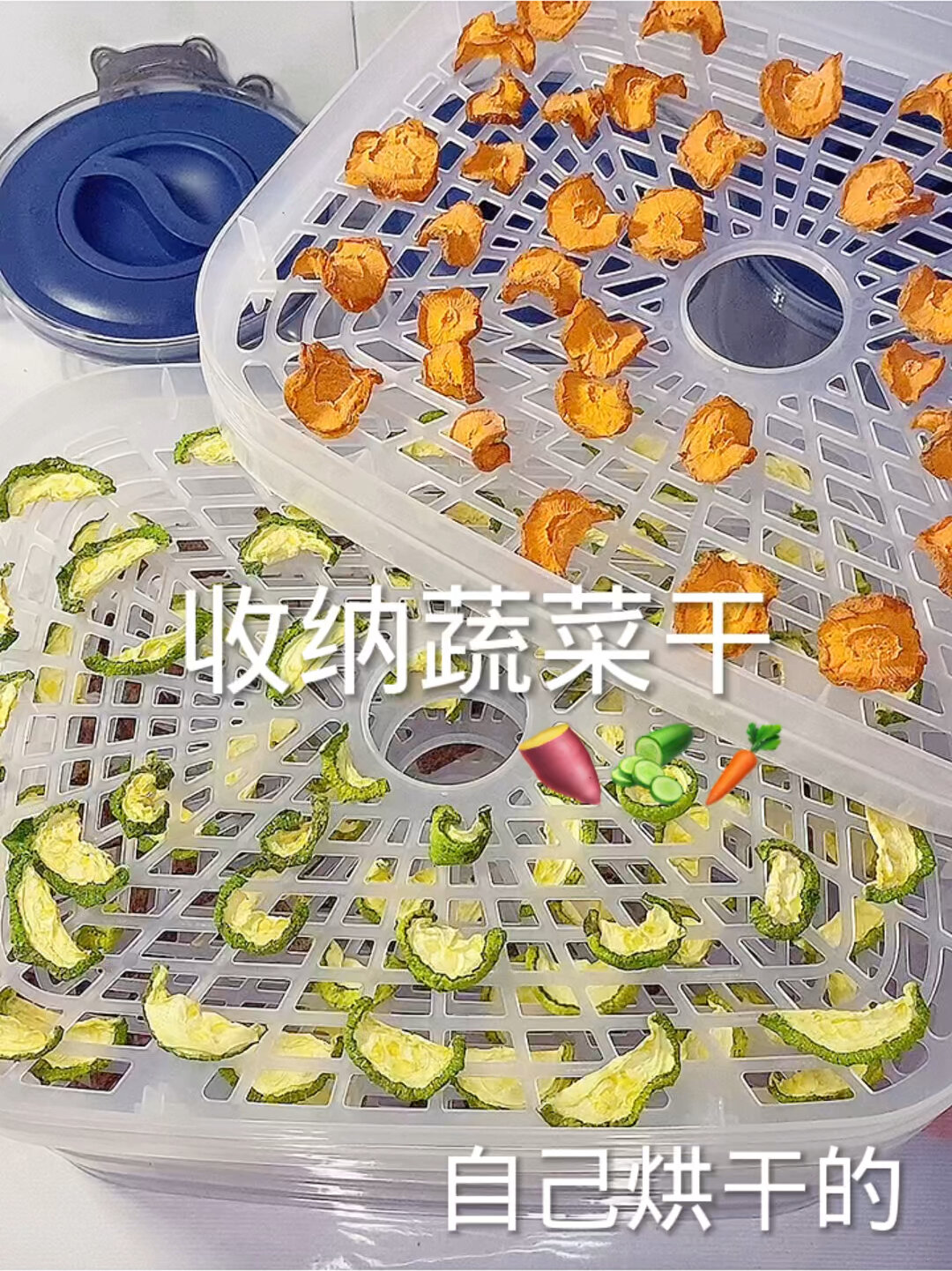 自制蔬菜干
