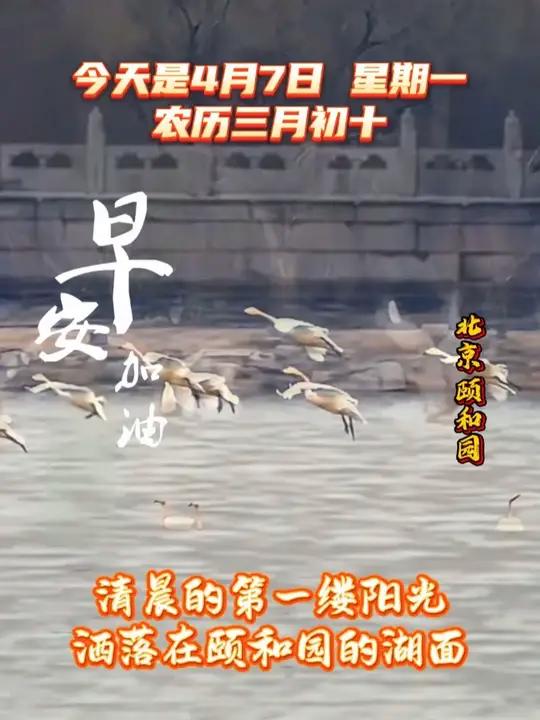 今天是4月7日,星期一,农历三月初十。早安,我的朋友。清晨的第一缕阳光洒落在颐和园的湖面,