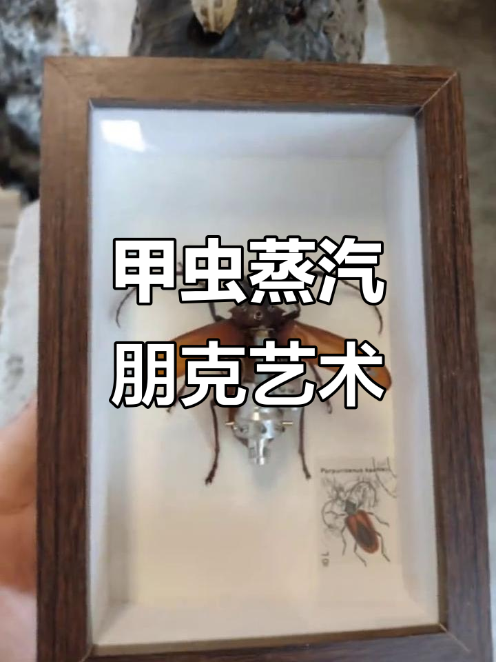 甲虫艺术：蒸汽朋克风格立体画，带你进入昆虫世界