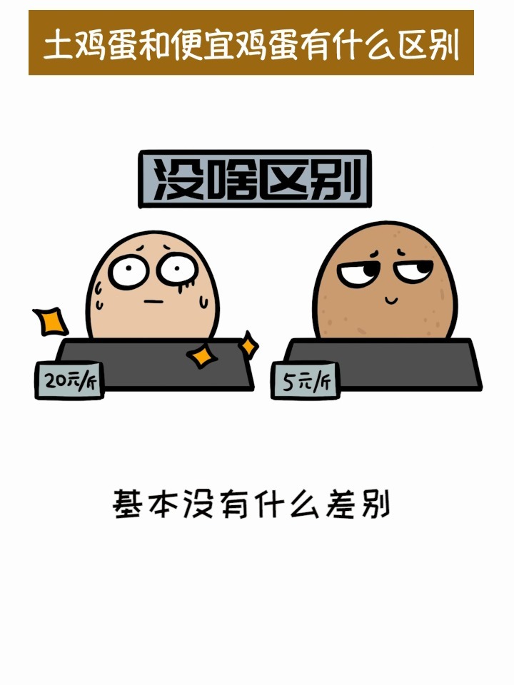 土鸡蛋和普通鸡蛋有什么区别?