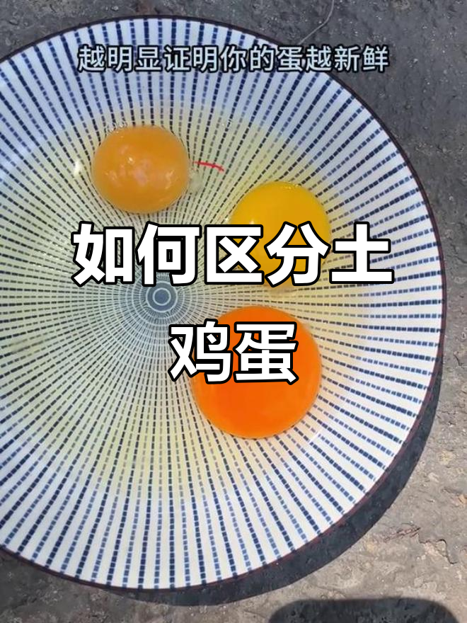 土鸡蛋与普通蛋的区别，如何辨别新鲜度