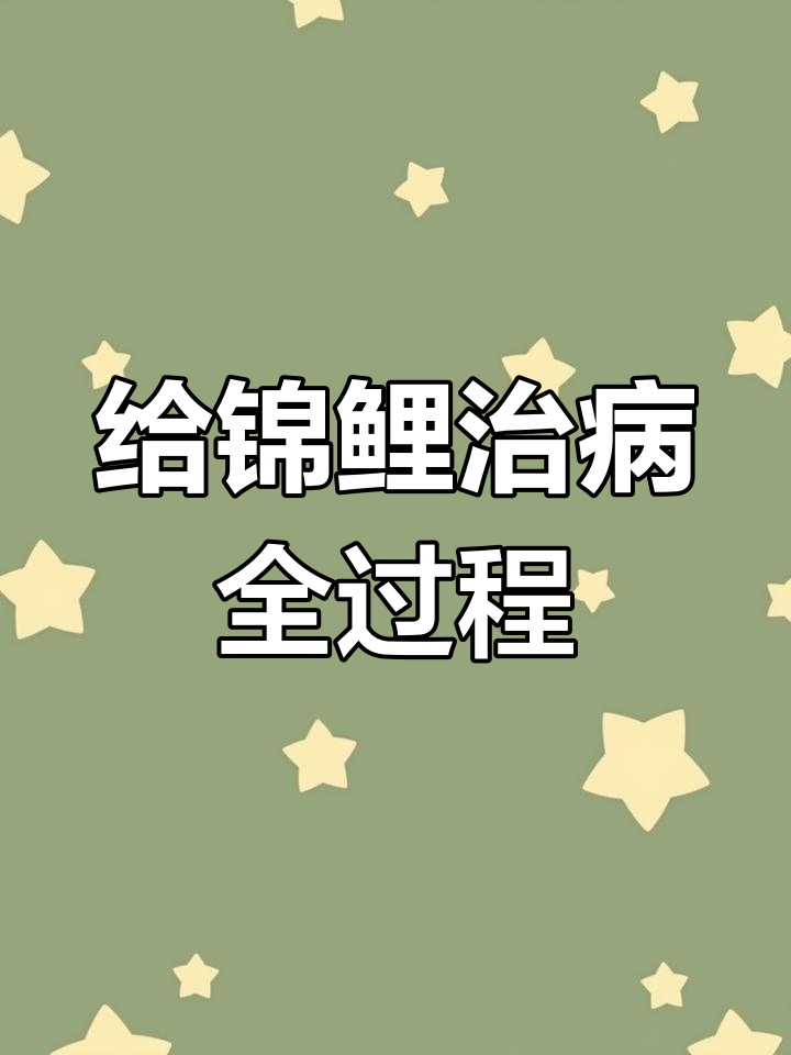 锦鲤鳞片炸裂,如何成功治疗?