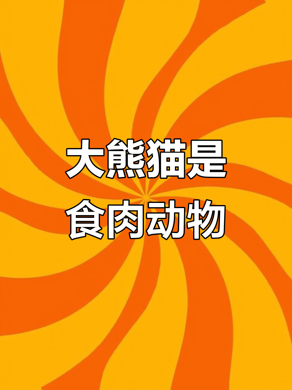 大熊猫其实是食肉动物，竹子只是它的“替代品”