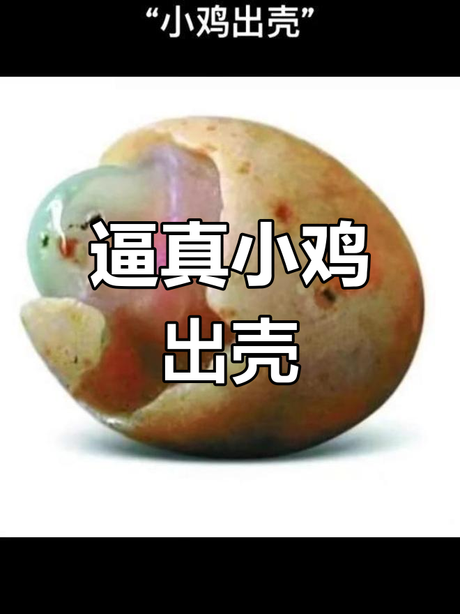 小鸡出壳奇石:天然玛瑙的惊艳之作