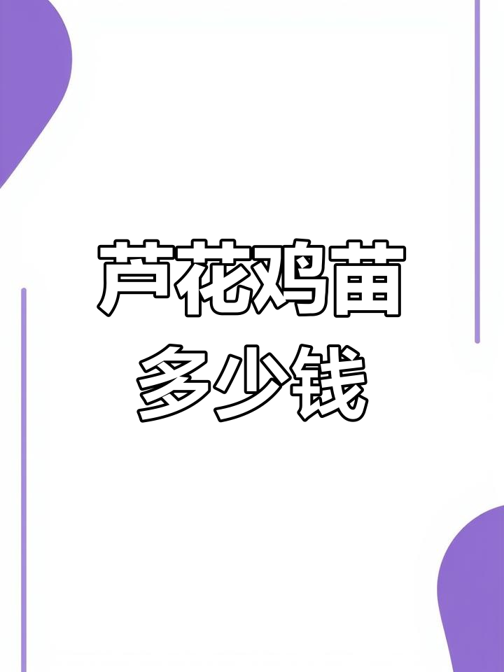芦花鸡苗价格与养殖技巧,五母一公如何搭配