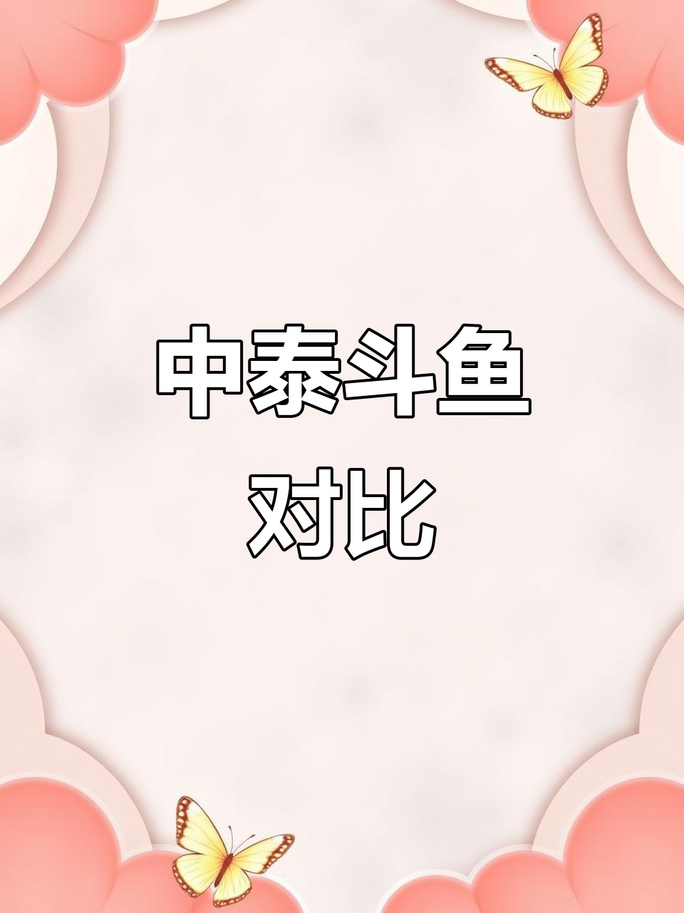 泰国斗鱼与中国斗鱼的差异,谁更胜一筹?