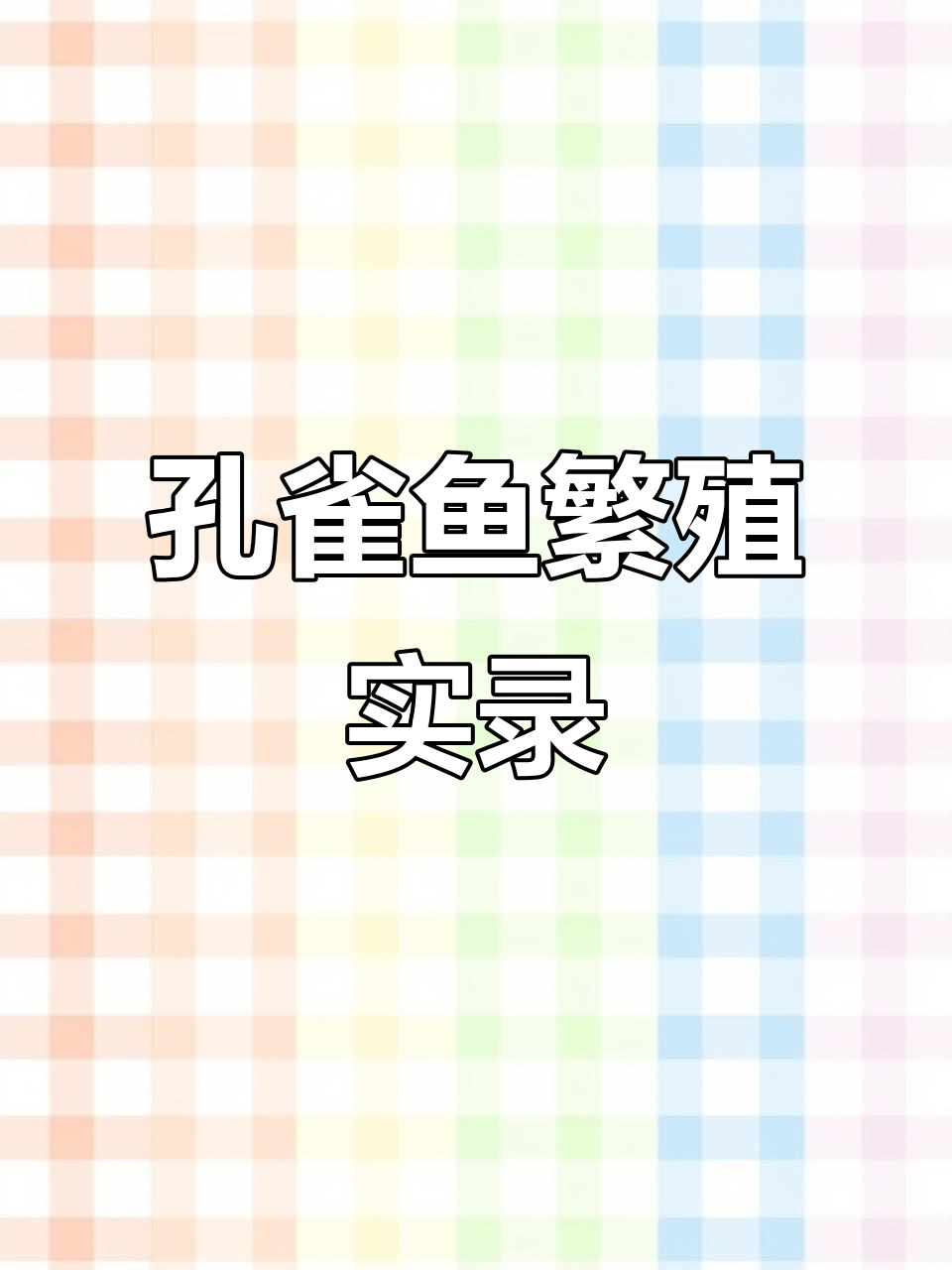 孔雀鱼宝宝出生,数量惊人!母鱼生产全过程揭秘